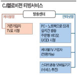 케이블 TV의 반격… PC로 모든 방송 보세요