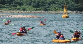 이번 여름은 거제요트학교에서 멋있게 즐기자!