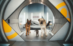 ‘캣츠 앤 독스 2’ 9년 만에 컴백