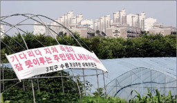 [LH 60여곳 택지개발 취소] 오산세교3ㆍ평택포승 등 개발 손 떼면 LH사업비 80조 절감