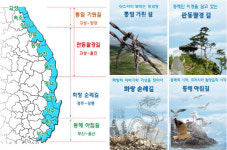 최장거리 탐방로, 동해 ‘해파랑길’ 어디?