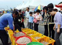 영광, 설도항 농수산물 토요장터 입소문