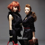 미스에스, 가을 헤어 핫 트렌드 레드vs옐로우