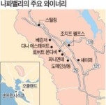 달콤한 포도향에 취해 뭉실한 구름 위의 산책