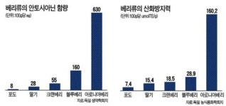 [한경 Better life] 고개 숙인 남성들이여 아로니아베리 가 왔다