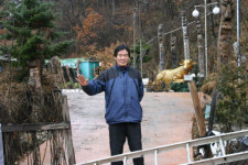 워낭소리 사라진 봉화 산정마을 구제역 옮길까봐 열흘째 두문불출