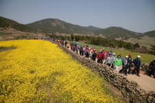 청산도 슬로우걷기 축제, ‘완보(緩步)의 여유’