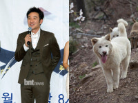 엄태웅의 애완견 백통이 무사귀가 엄포스도 안도의 한숨~