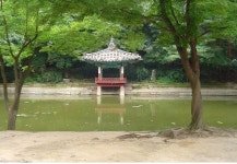 [한국의 정원 이야기] ② - 조선의 이궁 창덕궁