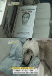 황혜영 개만도 못한 인간 황구 학대사건에 분노폭발