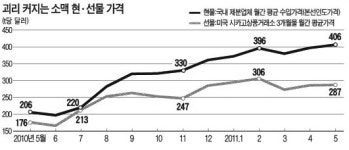 소맥 현물가격 강세 지속…제분업계 비상