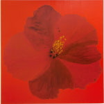 특별한일상 중견작가 송경혜 개인展