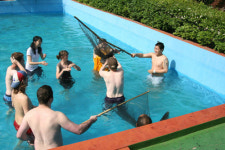 [팜스테이] 경북 문경 생달마을, 오미자 와인 먹고 산채나물 채취…웰빙 체험