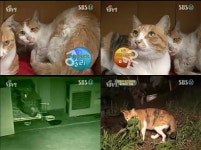 ‘동물농장’ 그날 밤 솔리와 미미에게 무슨 일이 있었을까