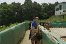[한국관광공사 추천 7월 여행지]③ 경기 화성- 하늘, 땅, 바다를 360도로 즐기는 화성 이색체험여행