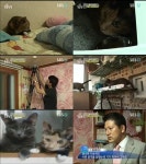‘동물농장’ 숨어사는 왕따 고양이 등장! 자유를 찾고파~