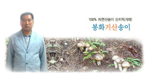 소나무의 정기가 서린 자연산 봉화거산송이