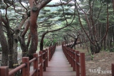 8월엔 인천의 보물섬으로 떠나볼까?