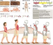 [생생 헬스] 카페인ㆍ청량음료는 통뼈의 적…집밥 먹고 많이 걸으세요