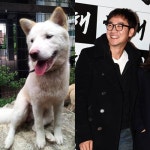 엄태웅, 백통이 실종…트위터 슬픔 가득 “자유 찾아 떠난 거라면…”