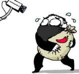 수확철 금값 농산물 전문서리꾼 기승