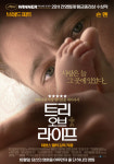 사랑스런 감성 가득한 트리 오브 라이프