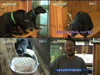 ‘동물농장’ 천재견 하늘이의 스마트한 인생?