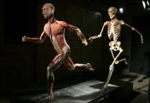 ‘오리지널 인체의 신비’, 10년 만에 돌아왔다!!