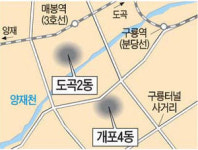 개발제한 풀린 개포4·도곡2동, 빌라 신축 붐
