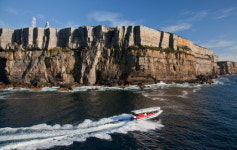 KRT 여행사, 시드니와 저비스베이를 한 번에!