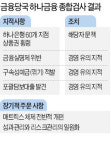 금감원 