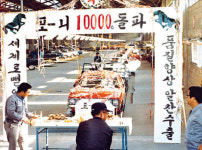 [울산 공업화 50년] 포니부터 그린카까지…현대차 달린 길이 車도시 울산의 역사