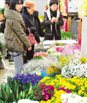 졸업·입학시즌…꽃시장 대목