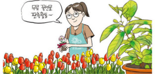 경기 안성시 석정동 꽃집 매출 더 올리려면? 산뜻한 간판으로 바꾸고 무료 꽃선물로 홍보