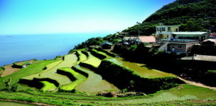 테마 따라 떠나는 농어촌 여행