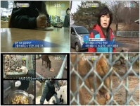 동물농장 강원도 동물원, 개사료로 명줄이어가 처참