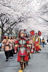 [Leisure&] 봄꽃 축제의 장으로…전남 영암 왕인박사 일본 가오!