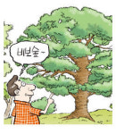 [풍수로 보는 부동산] 마을 숲은  풍수적 결함 치유 위한 비보