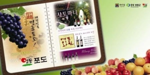 [2012 대한민국 대표브랜드 대상] 메이빌 영동포도, 과일의 성지에서 키운 명품포도