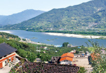 [Leisure&] 녹음이 출렁인다…섬진강이 부른다