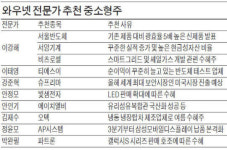 중소형 IT株 코나아이·하이비젼 찜…AP시스템·파트론도 유망