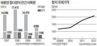 韓·日 때아닌 참치 전쟁