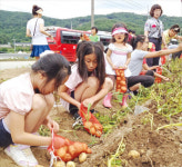 전북 순창 고추장익는마을 , 넌 감자 캐러 가니?…난 고추장 담그러 간다~