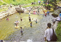 충남 풀꽃이랑마을, 야생초처럼 풋풋한 마을…산책하고, 사진찍고