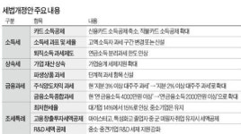 세법 개정안 들여다 보니…정부 세제개편에도 결국 '경제민주화'