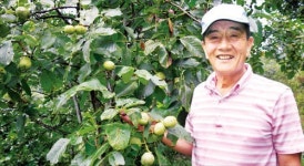 김형광 안동 대산농원 대표 50대에 귀농…호두로 매출 15억 부농꿈 이뤄