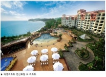 대명리조트 특별분양 만기 후 전액 보증금 환불 !!