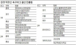 [한경 직장인 축구리그] 현대차 직장인 축구팀 2연패 도전 슛!