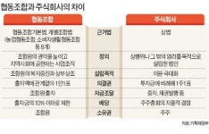 동네 세탁소·슈퍼 뭉치면 체인점 못잖은 경쟁력