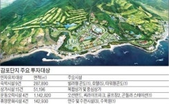 [대구·경북 新사업 벨트 뜬다] 동해안의 새로운 투자처 감포관광단지